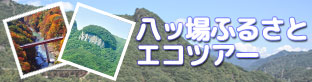 バナー